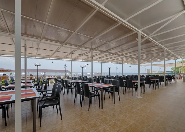 Berlin Golden 골든샌드